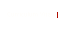 Curriculum Vita